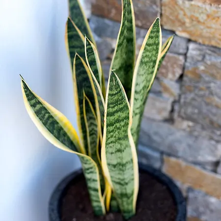 Вилла Anat Paros